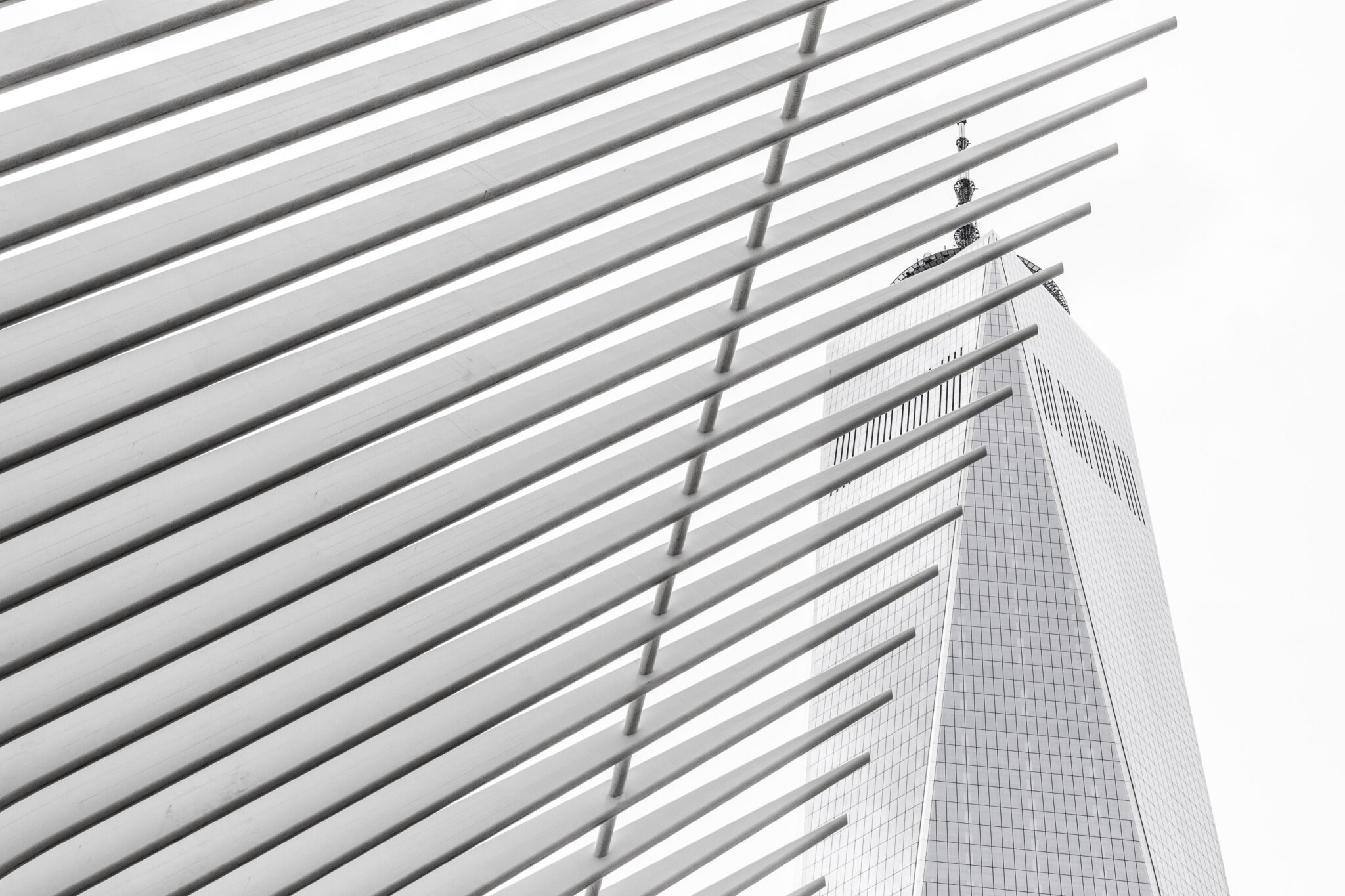 One World Trade Center and Oculus